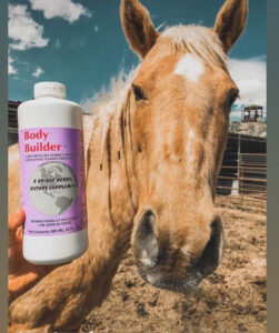 Horse Supplements