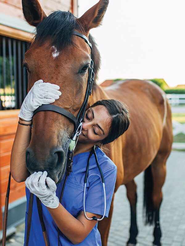 Hoof & Hound veterinary