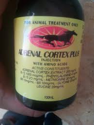 Adrenal