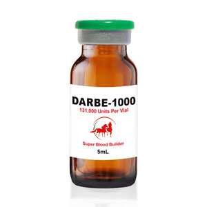 Darbe 500