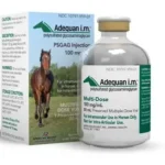 Adequan Equine