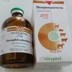 Dexaphenylarthrite