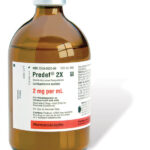 Predef 2X