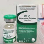 Buy Pentosan equine Online In Australia