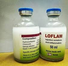 Buy Loflam 50ml Online – Trusted Equine Treatment & Recovery Support